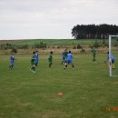 plewis 7